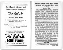 1951 Page 036 037